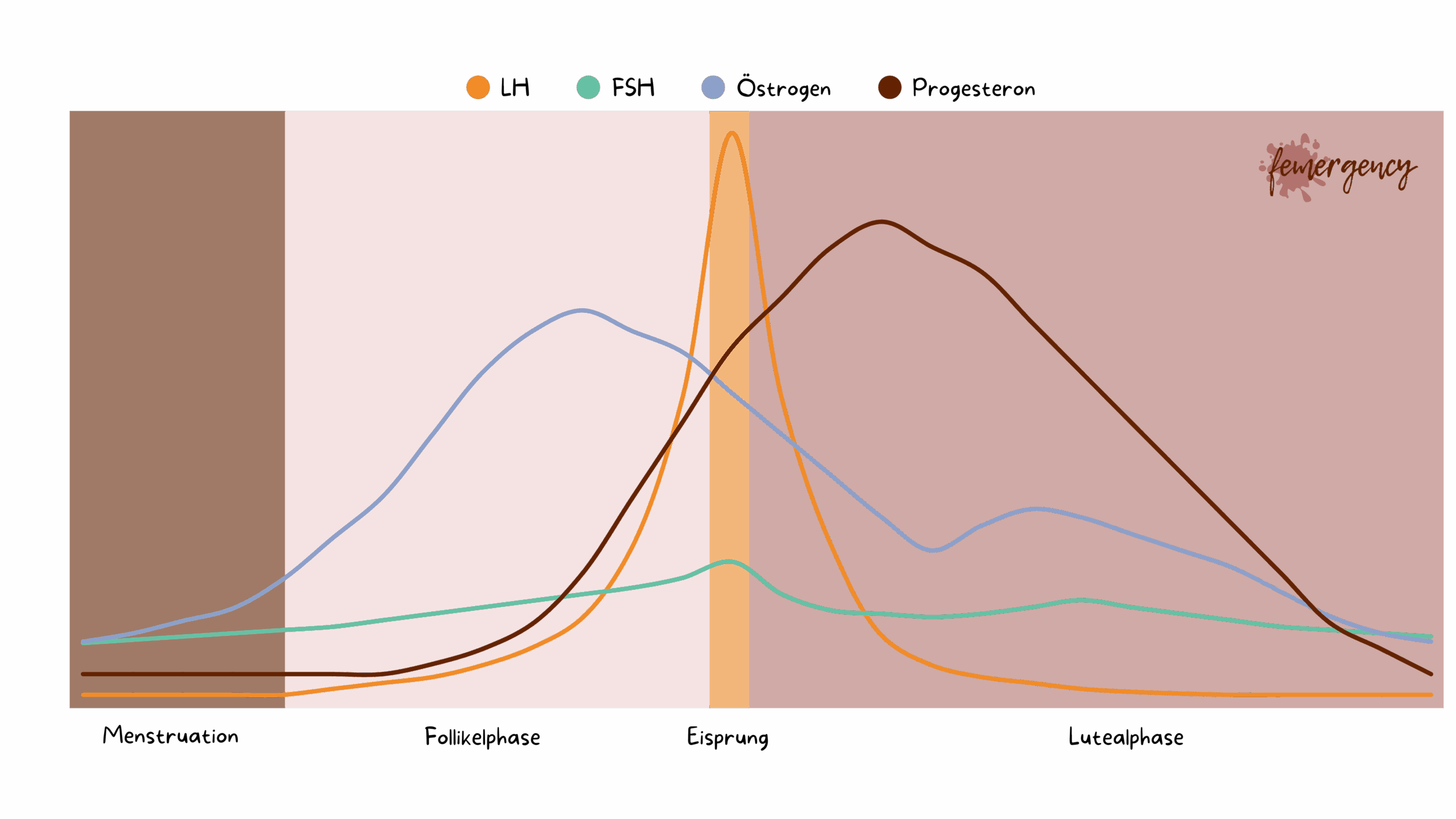 Grafik zu den Hormonschwankungen im Laufe des Zyklus
